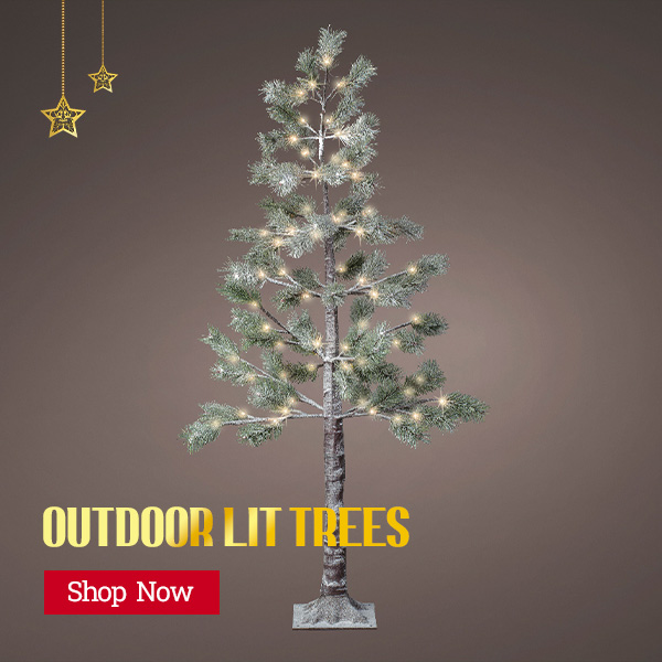 Christmas Outdoor Lit Trees